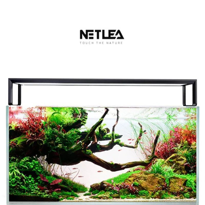 Netlea AT5S V3 スマートWiFiアプリ制御 フ - Wifi Led Dimmer のレビューと価格