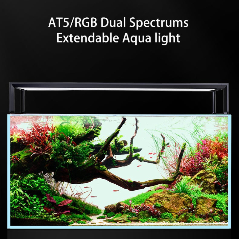 Netlea AT5S V3 スマートWiFiアプリ制御 フ - Wifi Led Dimmer のレビューと価格
