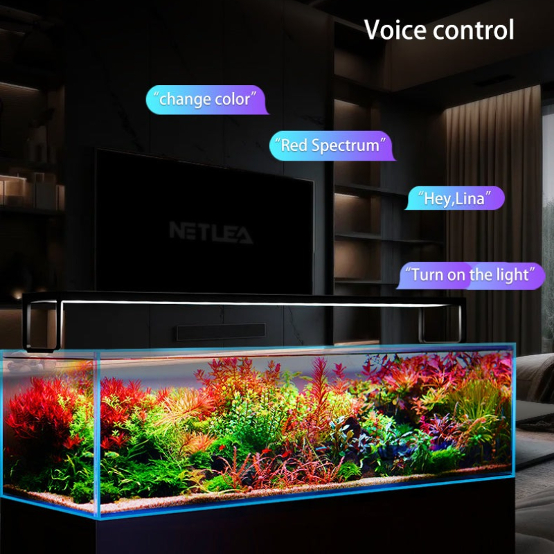 Netlea AT5S V3 スマートWiFiアプリ制御 フ - Wifi Led Dimmer のレビューと価格