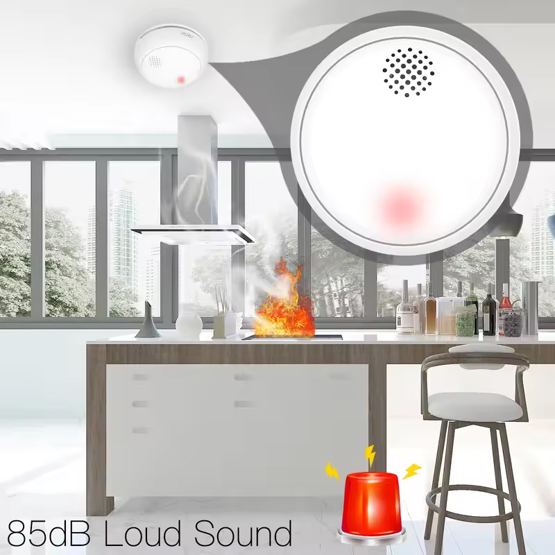 MOES ZigBee スマートワイヤレス煙探知機火災 85 - Smart Home Moes のレビューと価格