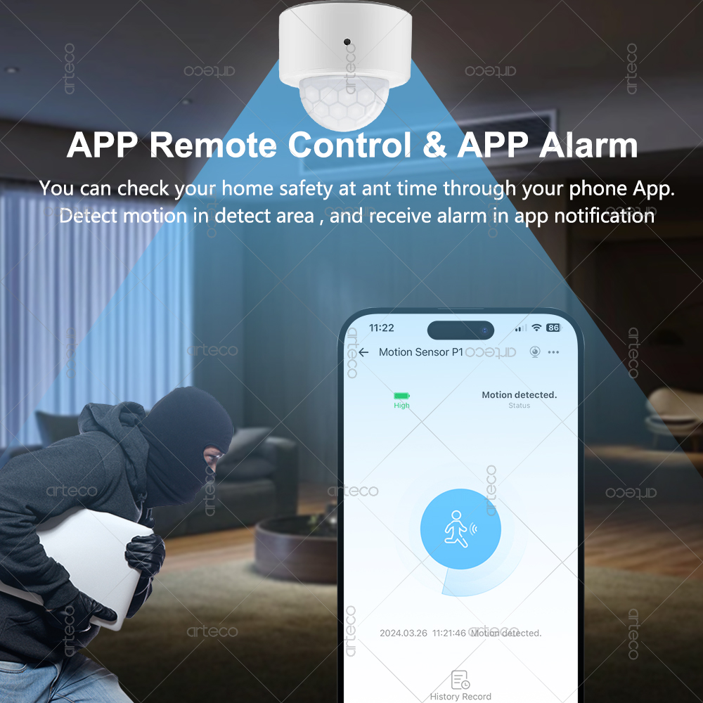 Ewelink Zigbee PIR モーションセンサー人体 - Zigbee Motion Sensor のレビューと価格