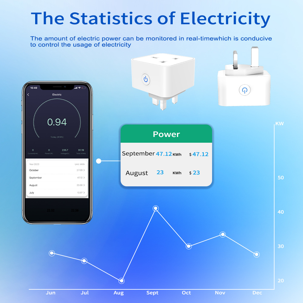 Tuya スマートソケット 16A/20A WiFi または - Smart Home Voice Assistant のレビューと価格