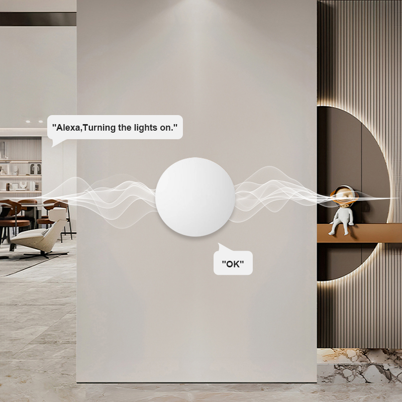 ZigBee スマートワイヤレスボタンシーンスイッチ Tuy - Smart Home Voice Assistant のレビューと価格